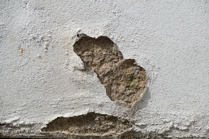 Prevents costly structural damage